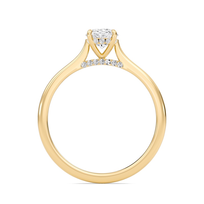 Oval Cathedral Hidden Halo Engagement Ring