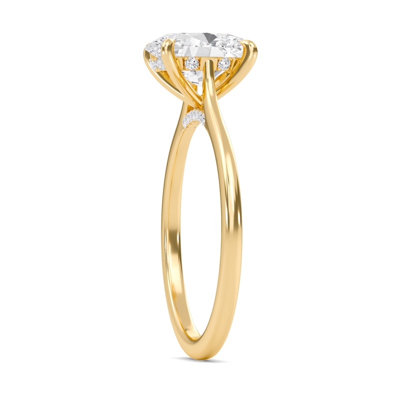 Oval Cathedral Hidden Halo Engagement Ring
