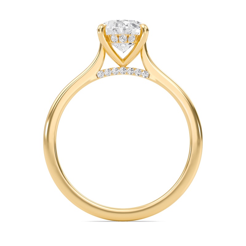 Oval Cathedral Hidden Halo Engagement Ring