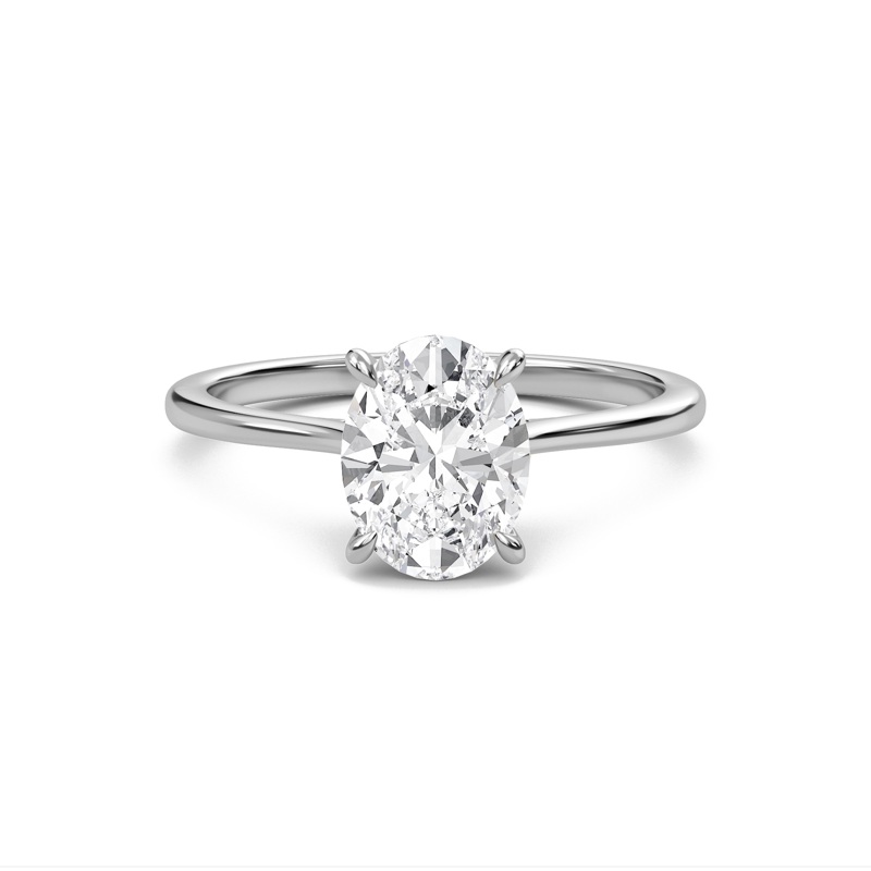 Oval Cathedral Hidden Halo Engagement Ring