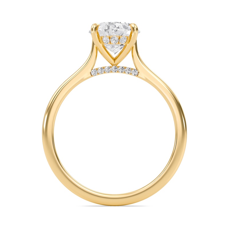 Oval Cathedral Hidden Halo Engagement Ring