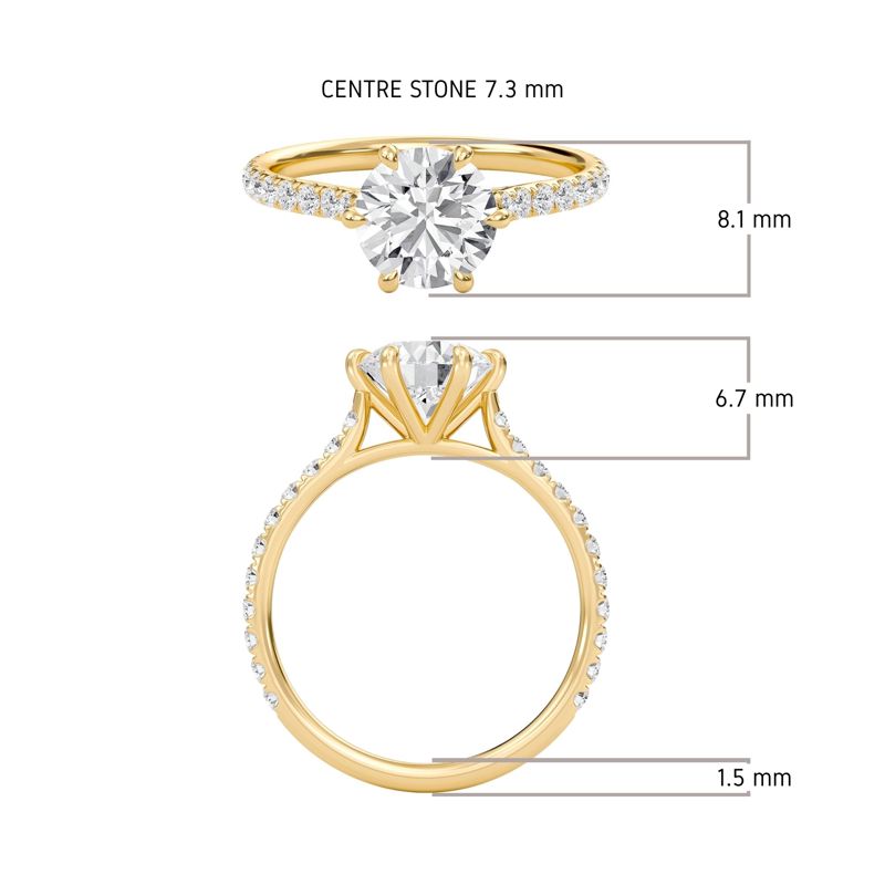 Cathedral Pave Adorned 6 Prong Ring