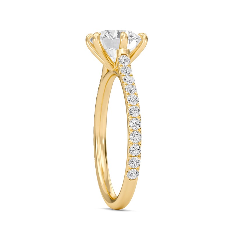 Cathedral Pave Adorned 6 Prong Ring