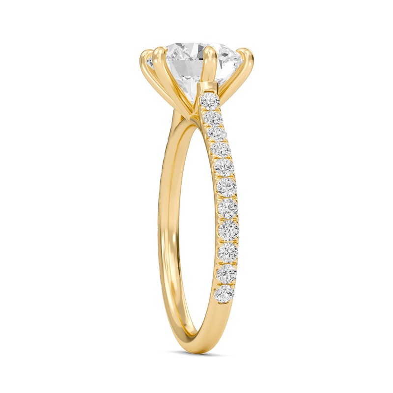 Cathedral Pave Adorned 6 Prong Ring
