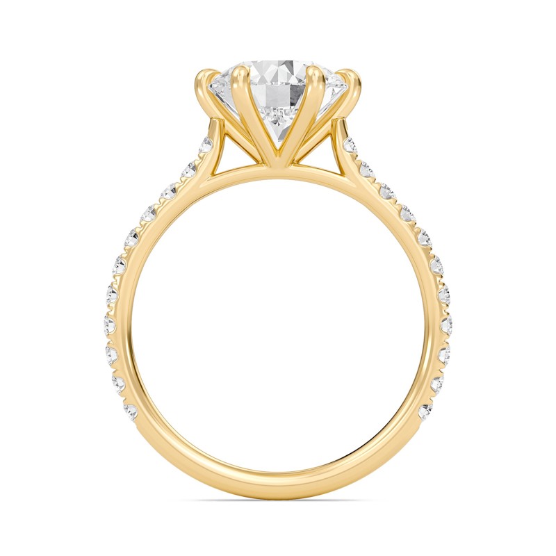 Cathedral Pave Adorned 6 Prong Ring