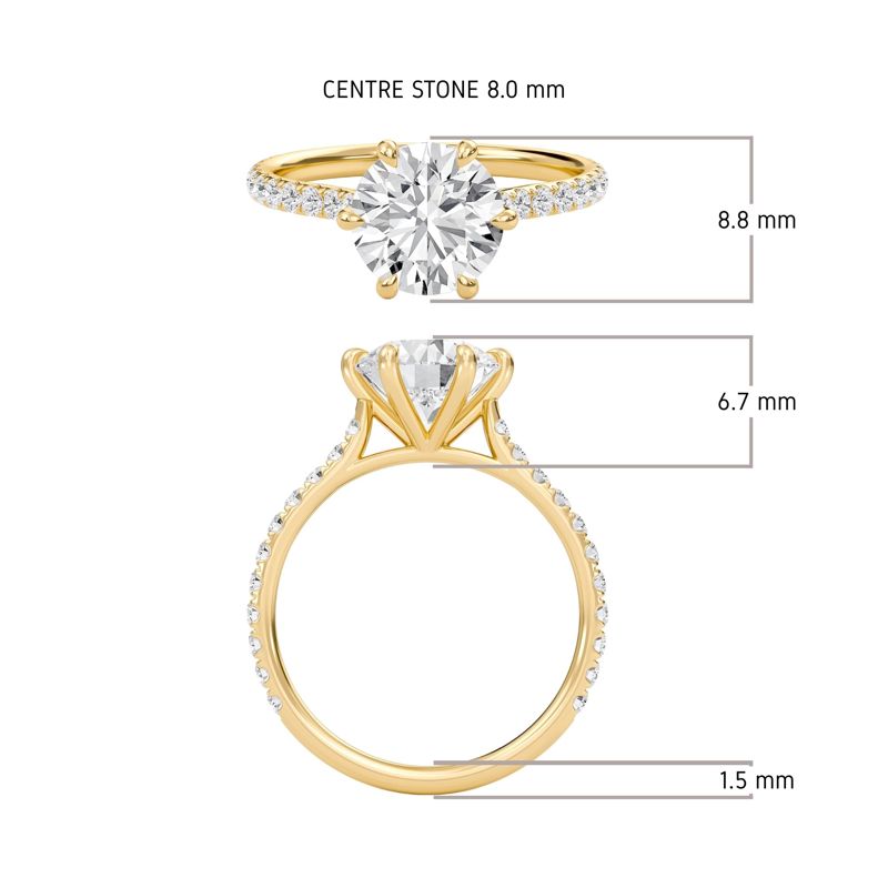 Cathedral Pave Adorned 6 Prong Ring