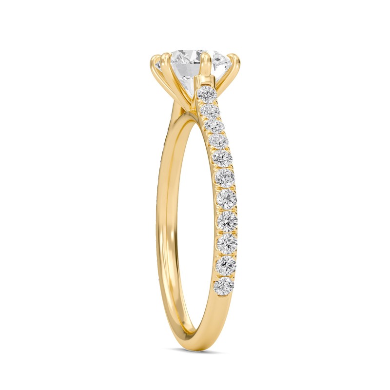 Cathedral Pave Adorned 6 Prong Ring