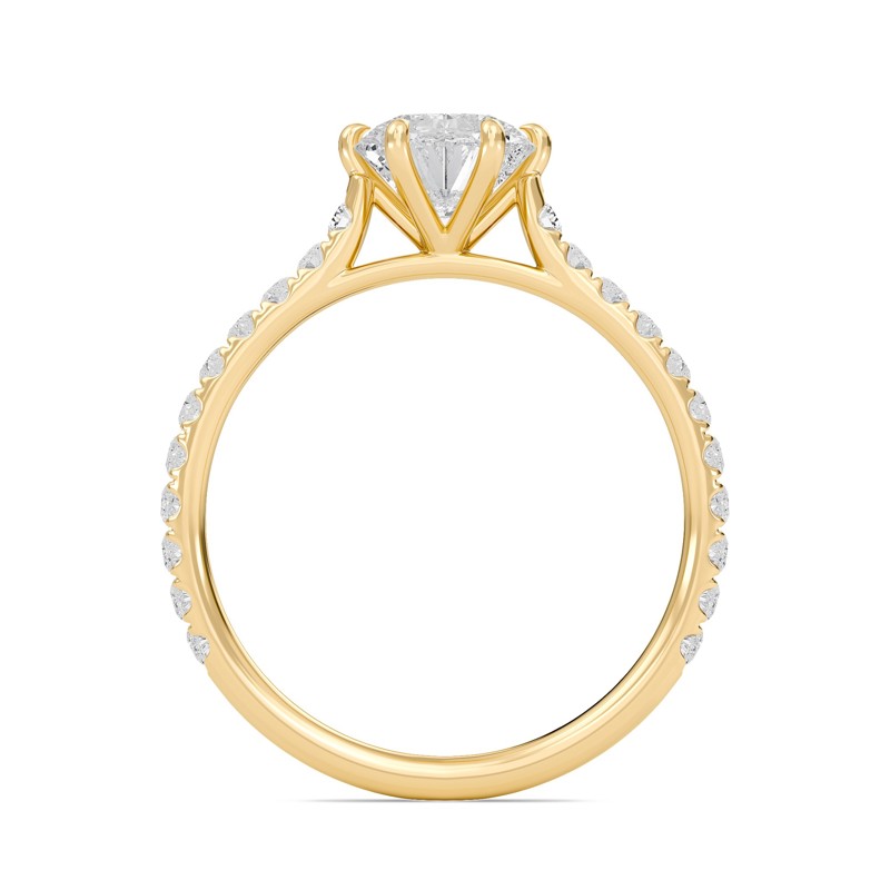 Cathedral Pave Adorned 6 Prong Ring