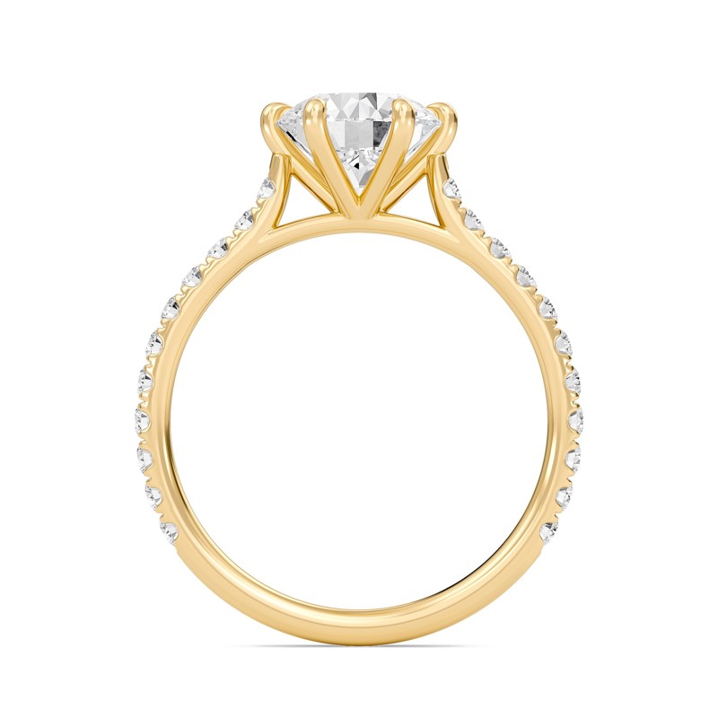 Cathedral Pave Adorned 6 Prong Ring