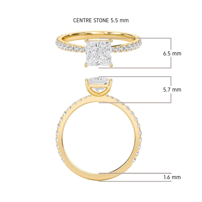Princess Elegant Pave Engagement Ring