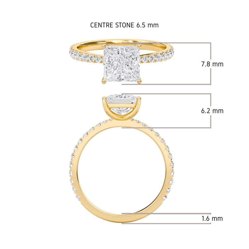 Princess Elegant Pave Engagement Ring