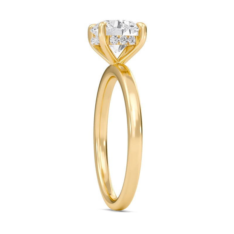 Hidden Halo Engagement Ring