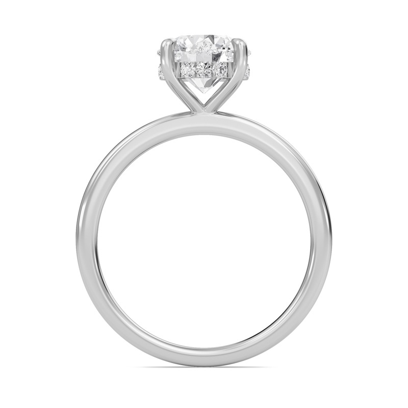 Hidden Halo Engagement Ring