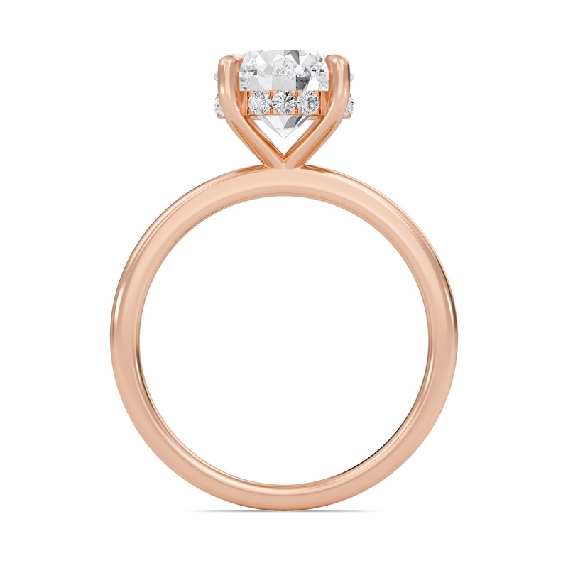 Hidden Halo Engagement Ring
