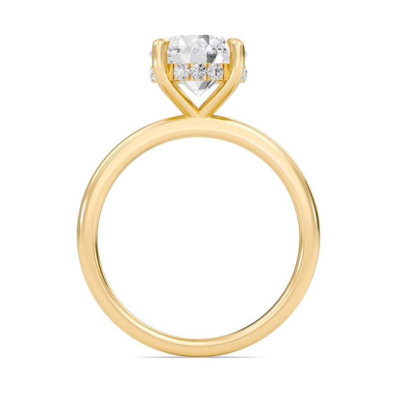 Hidden Halo Engagement Ring