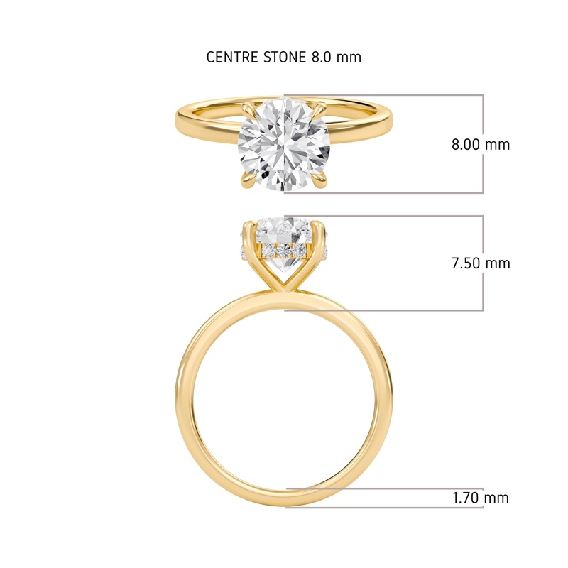 Hidden Halo Engagement Ring