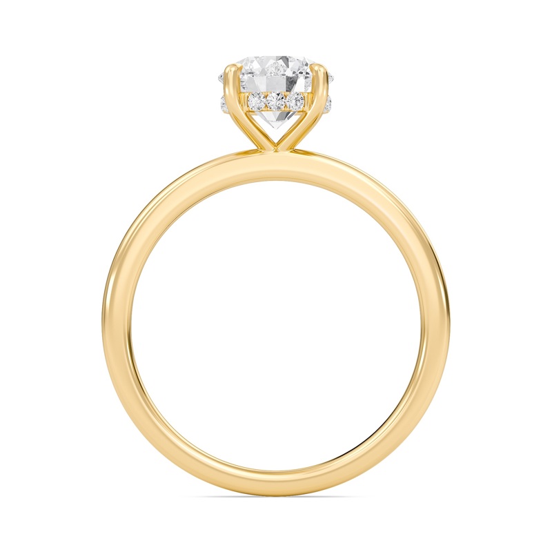 Hidden Halo Engagement Ring