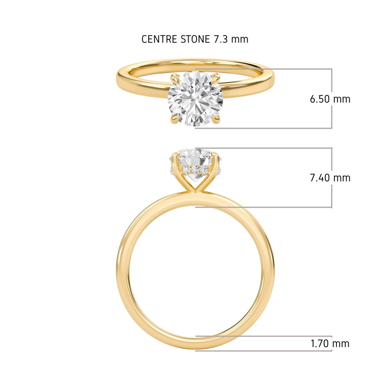 Hidden Halo Engagement Ring