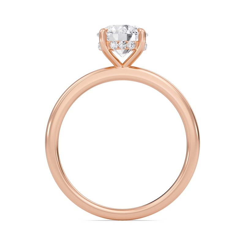 Hidden Halo Engagement Ring
