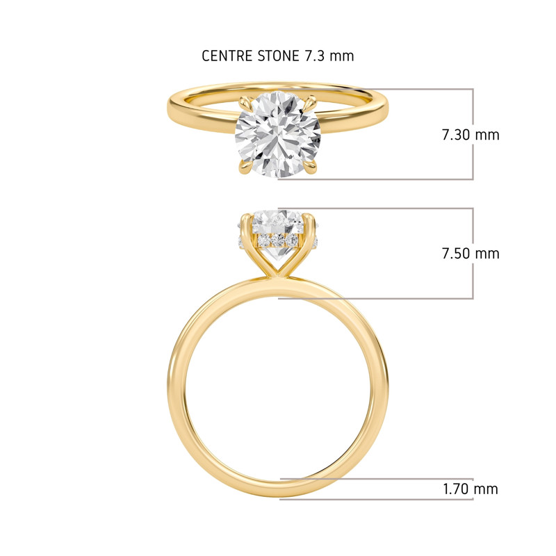 Hidden Halo Engagement Ring