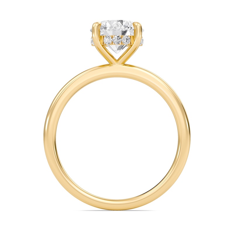 Hidden Halo Engagement Ring