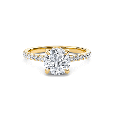 Round Cathedral Pave Hidden Halo Engagement Ring