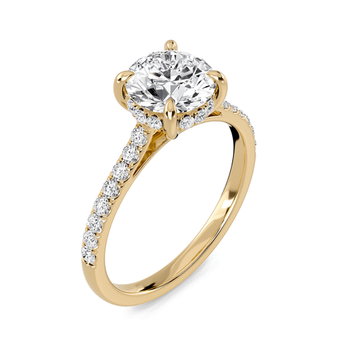 Round Cathedral Pave Hidden Halo Engagement Ring