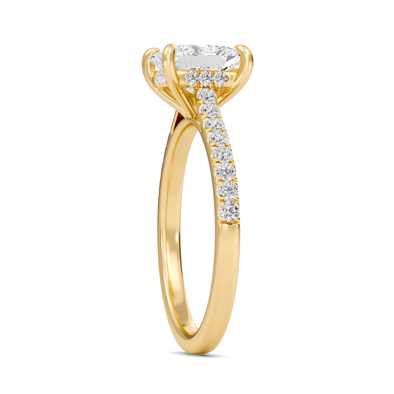 Princess Cathedral Pave Hidden Halo Engagement Ring