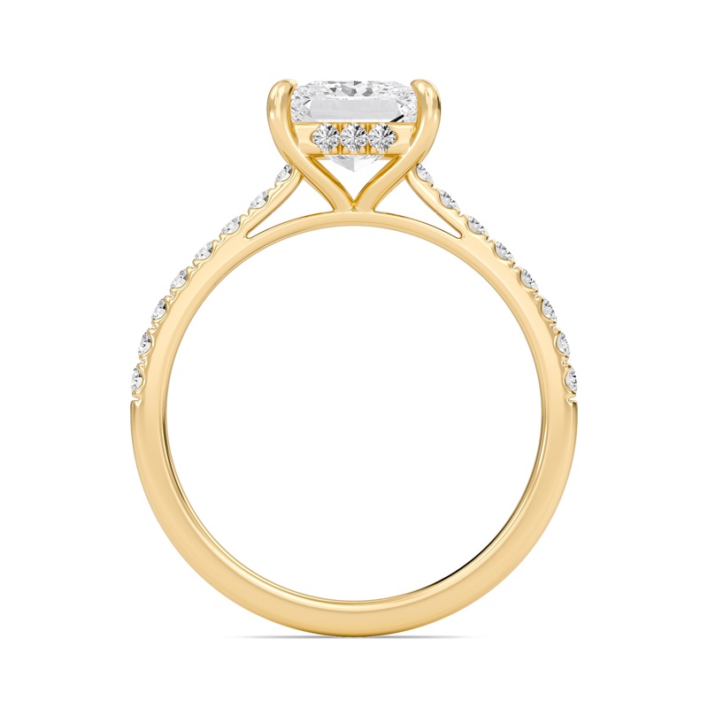 Princess Cathedral Pave Hidden Halo Engagement Ring