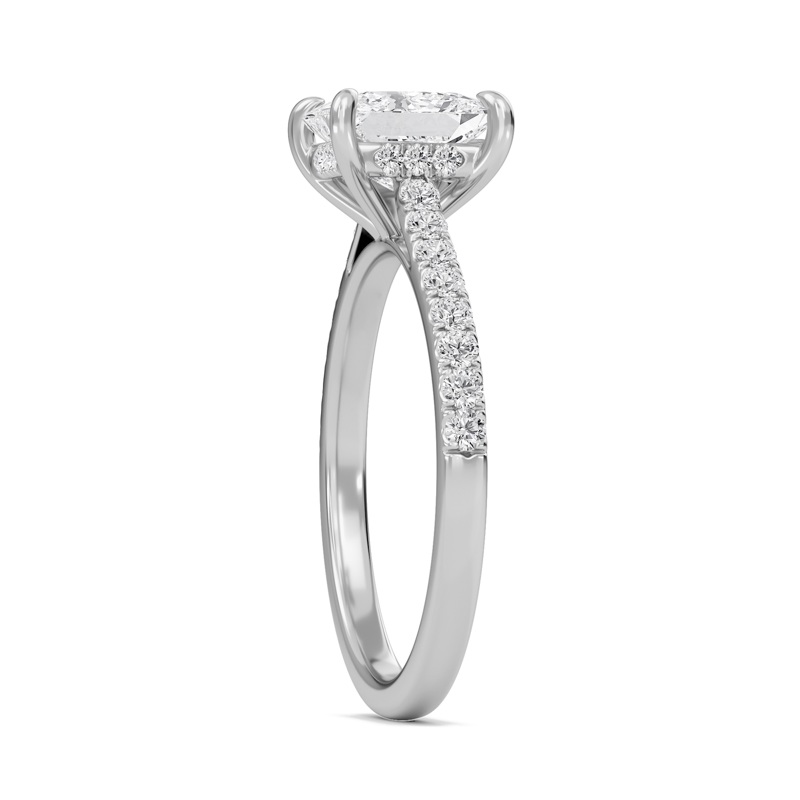 Princess Cathedral Pave Hidden Halo Engagement Ring