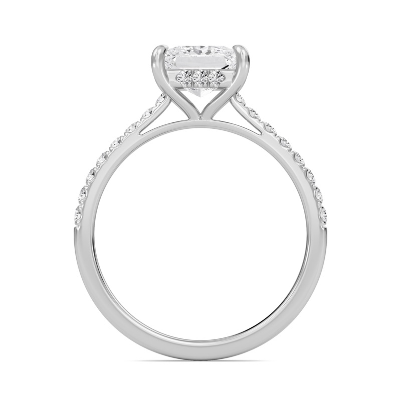 Princess Cathedral Pave Hidden Halo Engagement Ring