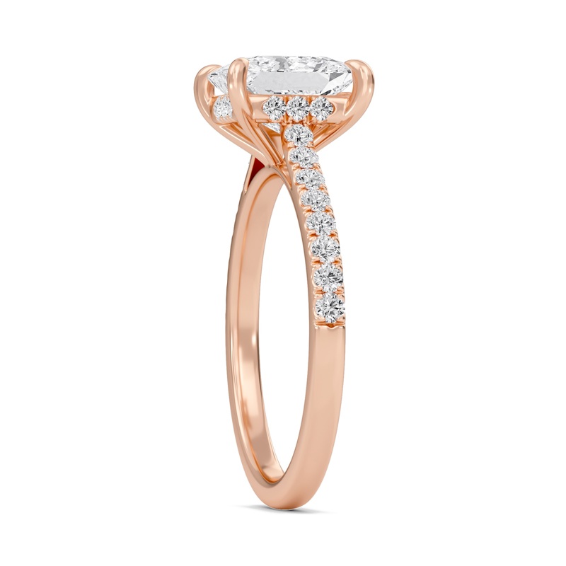 Princess Cathedral Pave Hidden Halo Engagement Ring