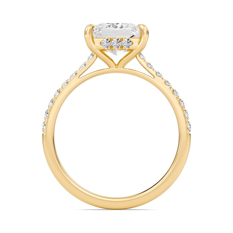 Princess Cathedral Pave Hidden Halo Engagement Ring