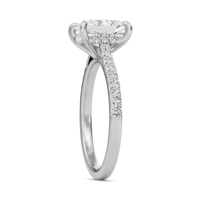Princess Cathedral Pave Hidden Halo Engagement Ring