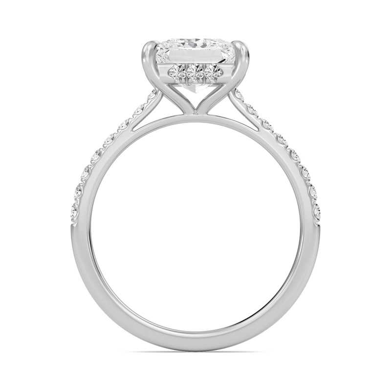 Princess Cathedral Pave Hidden Halo Engagement Ring