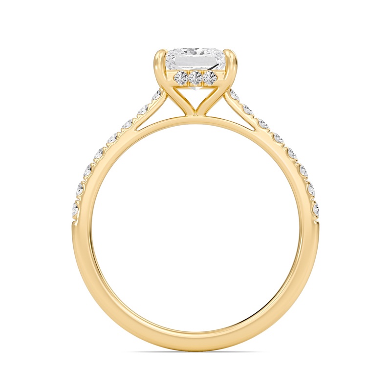 Princess Cathedral Pave Hidden Halo Engagement Ring