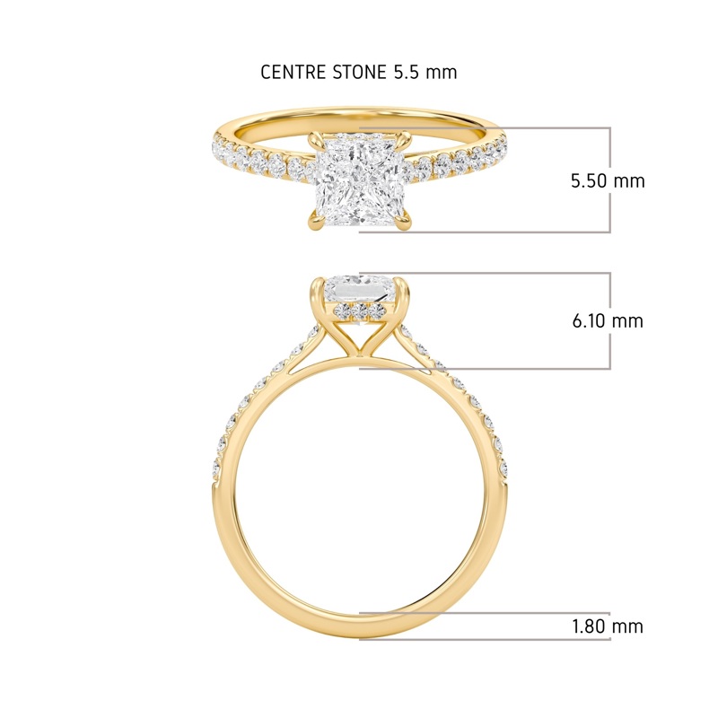 Princess Cathedral Pave Hidden Halo Engagement Ring