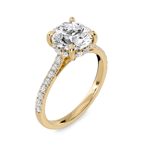 Round Cathedral Pave Hidden Halo Engagement Ring