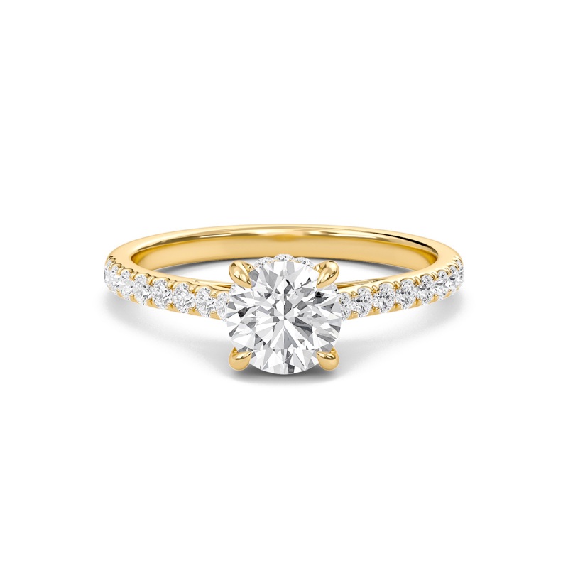 Round Cathedral Pave Hidden Halo Engagement Ring