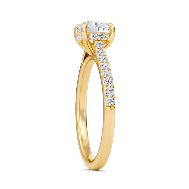 Round Cathedral Pave Hidden Halo Engagement Ring