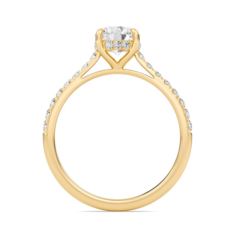 Round Cathedral Pave Hidden Halo Engagement Ring