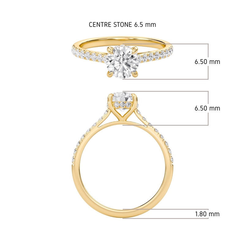 Round Cathedral Pave Hidden Halo Engagement Ring