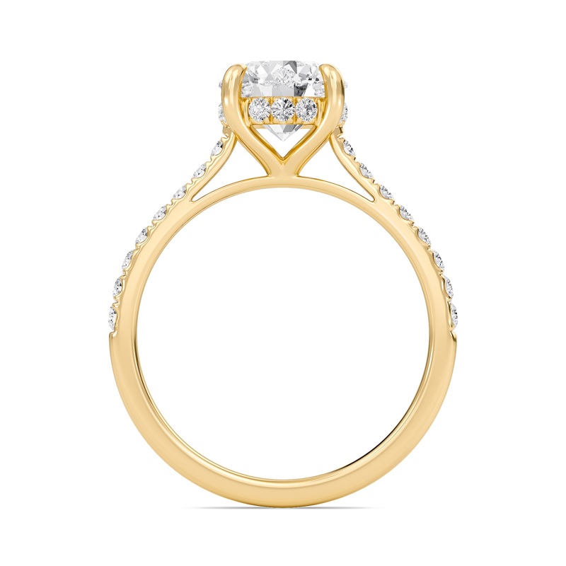Round Cathedral Pave Hidden Halo Engagement Ring