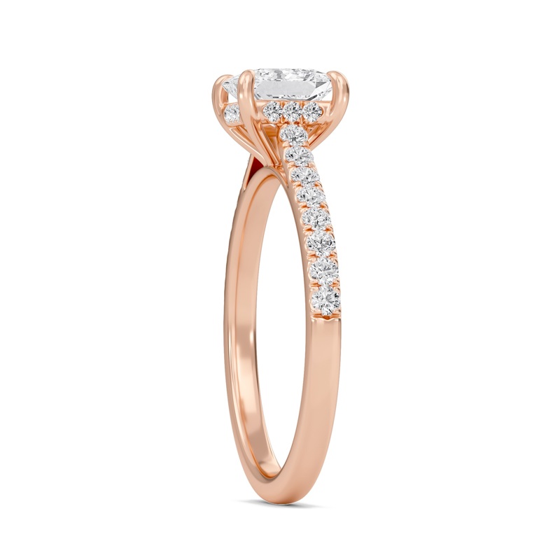 Princess Cathedral Pave Hidden Halo Engagement Ring
