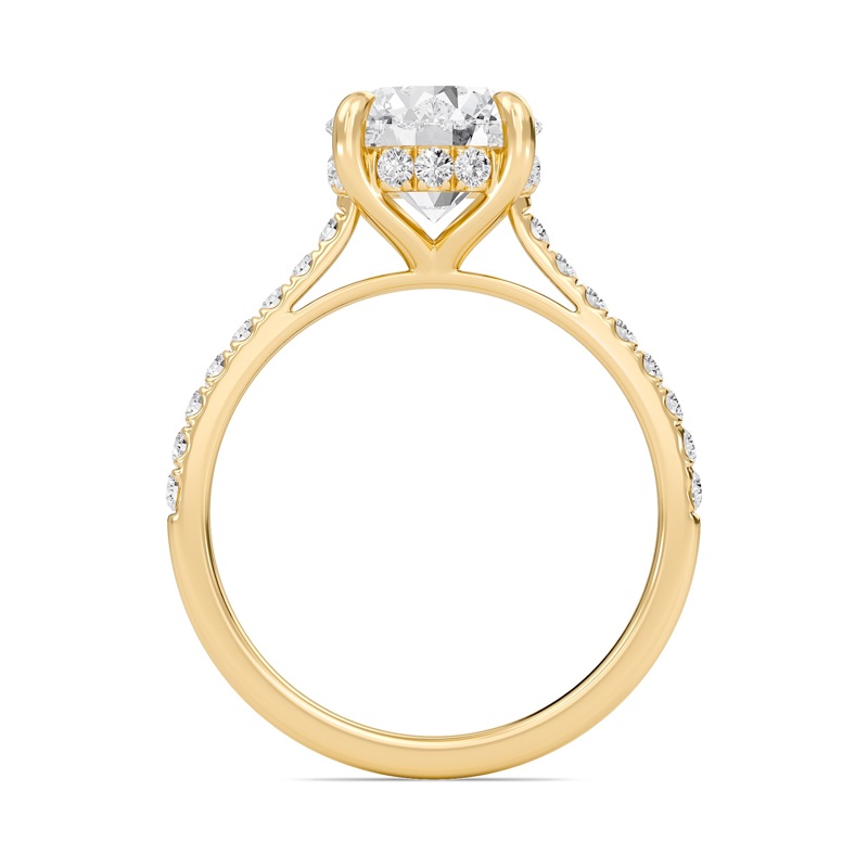 Round Cathedral Pave Hidden Halo Engagement Ring
