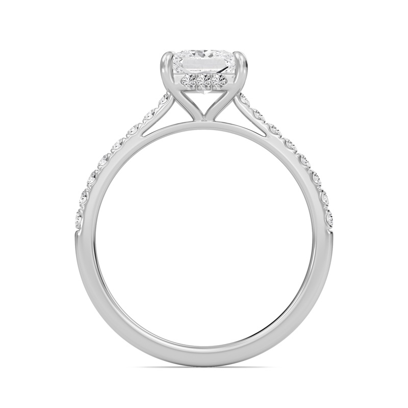 Princess Cathedral Pave Hidden Halo Engagement Ring
