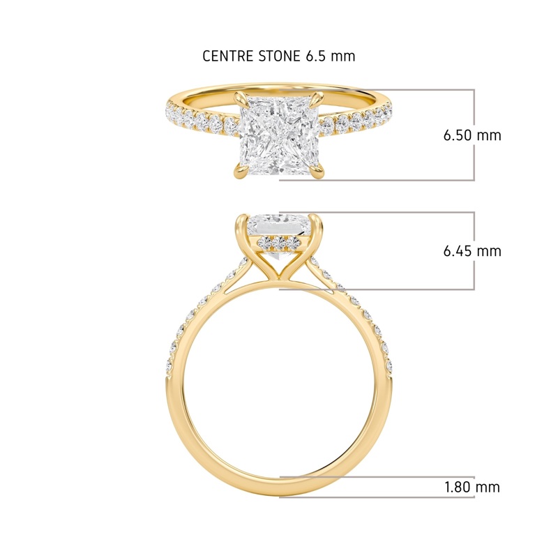 Princess Cathedral Pave Hidden Halo Engagement Ring