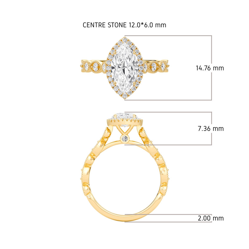 Cathedral Set Halo Side Stone Ring