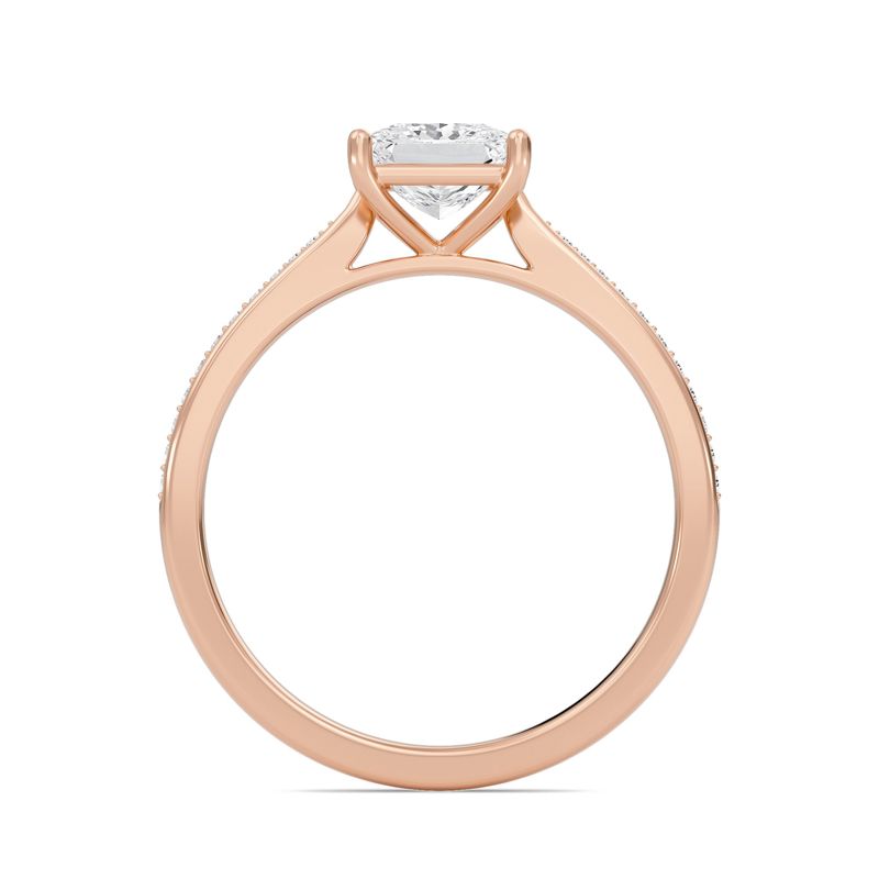 Princess Cathedral Pave Adorned Engagement Ring