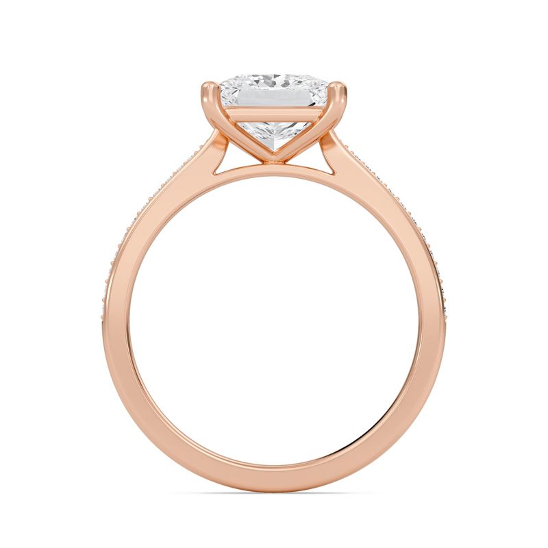 Princess Cathedral Pave Adorned Engagement Ring